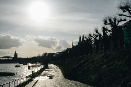 COLOGNE, GERMANY - JANUARY 17, 2023: High water after heavy rainfall and snow melting in Rheinland.のeditorial素材