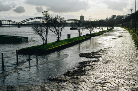 COLOGNE, GERMANY - JANUARY 17, 2023: High water after heavy rainfall and snow melting in Rheinland.のeditorial素材