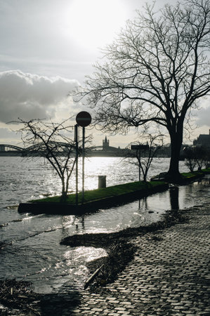 COLOGNE, GERMANY - JANUARY 17, 2023: High water after heavy rainfall and snow melting in Rheinland.のeditorial素材
