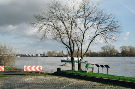 COLOGNE, GERMANY - JANUARY 17, 2023: High water after heavy rainfall and snow melting in Rheinland.のeditorial素材