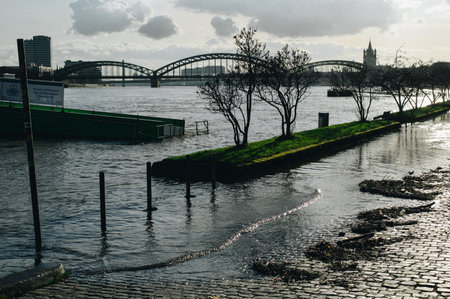 COLOGNE, GERMANY - JANUARY 17, 2023: High water after heavy rainfall and snow melting in Rheinland.のeditorial素材