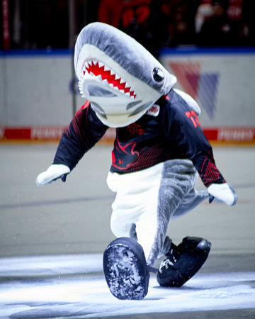 COLOGNE, GERMANY - 2 JANUARY, 2024: Hockey match of Penny DEL Koelner Haie - Iserlohn Roosters at...
