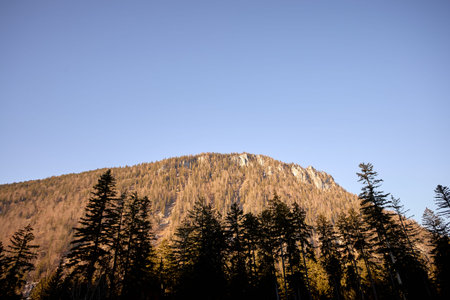 Golden-hour sunlight washes over a Bavarian Alpine ridge while dark conifers form a sharp foreground...