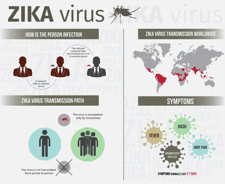 Zika virus infographics include transmission, symptom, and infection path.のイラスト素材