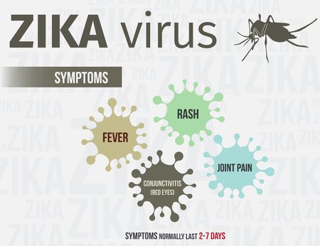 Zika virus infographics include symptoms.のイラスト素材