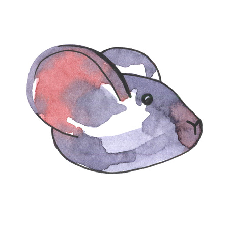 Mouse watercolour illustration. Funny icon of animal. Grey rat with pink ears isolated on white background. 2020 new year painting symbol. Drawing art object for designの写真素材