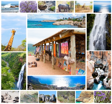 African wild animals collage, fauna diversity in Kruger Park, natural themed collection background, beautiful nature of South Africa, wildlife adventure and travelのeditorial素材