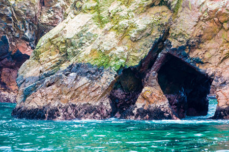 Peru,South America, coast at Paracas National Reservation, Peruvian Galapagos. Ballestas Islands
