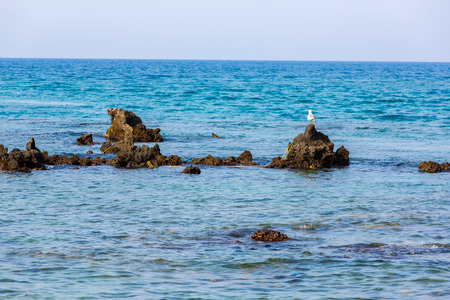 Freshwater lake in village Kavros in Crete  island, Greece  Magical turquoise waters, lagoons  Travel Backgroundの写真素材