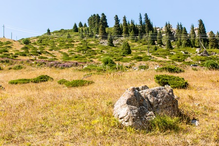 Nature near Big Almaty Lake, Tien Shan Mountains in Almaty, Kazakhstan,Asia at summerの写真素材