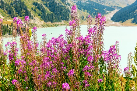Spectacular scenic Big Almaty Lake ,Tien Shan Mountains in Almaty, Kazakhstan,Asia at summerの写真素材
