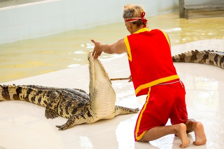 THAILAND, PHUKET -DEC 11, 2014: Traditional for Thailand "Show of crocodiles". Trainer and alligator on December 11, 2014 in Crocodile Farm SAMTPRAKAN, Thailandのeditorial素材