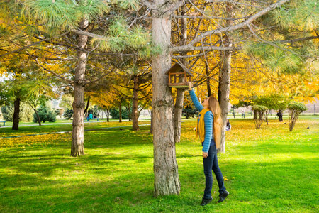 Autumn portrait of beautiful woman over yellow leaves while walking in the park in fall. Positive...