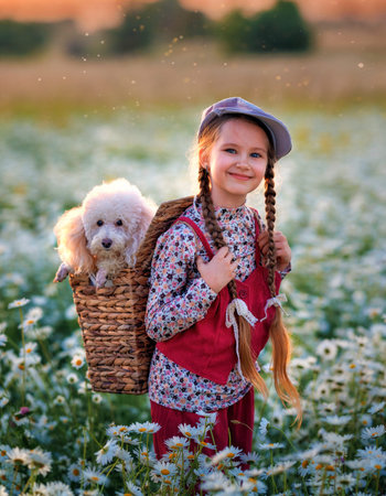A girl kid with a poodle dog walks in a chamomile field. Happy child in summer with petの写真素材