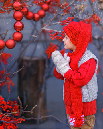 A little cheerful boy in red knitted hat stands with New Years toys and rowan berries at Christmasの写真素材