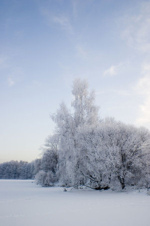 The natureの写真素材
