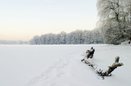 The natureの写真素材