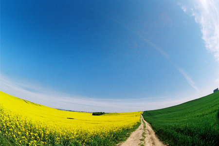 natureの写真素材