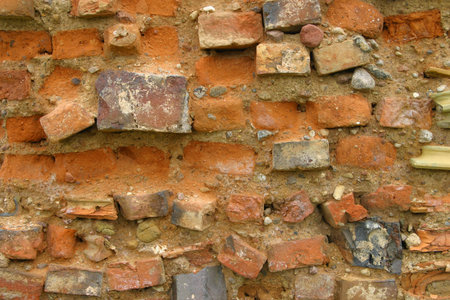 wallの写真素材