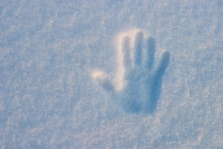 snowの写真素材
