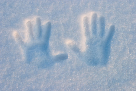 snowの写真素材