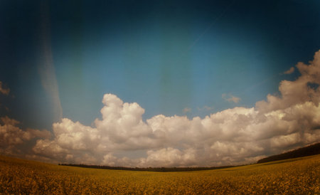 fieldの写真素材