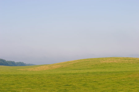 fieldの写真素材