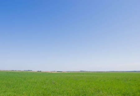 fieldの写真素材