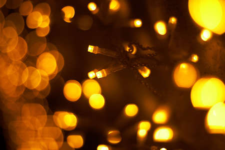 Fires of Garlandsの写真素材