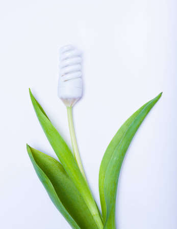 energy saving lamp a flower on whiteの写真素材