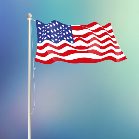 USA flag vector illustrationのイラスト素材