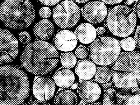 Wood halftone abstract backgroundの写真素材