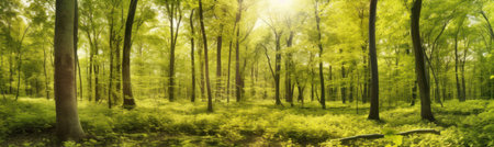 Silent Forest in spring with beautiful bright sun rays. Generative AIの素材