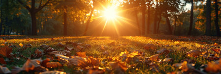 Sunlight filtering through green trees in a park.の素材