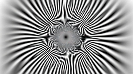 This artwork features swirling black and white lines that create an intriguing optical illusion of depth and motion.の素材