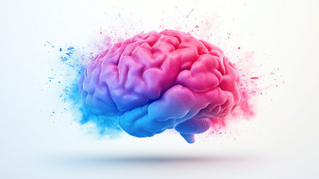 A vibrant brain model is surrounded by colorful splashes of pink and blue, creating a dynamic visual effect.の素材