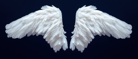 Stunning white wings made of feathers resting against a contrasting dark background, evoking inspiration.の素材
