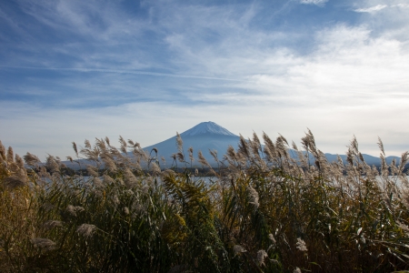 Fuji-San view form lake Kawaguchiko Yamanashi, Japan.の写真素材