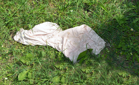 petticoat lost in the fieldの写真素材