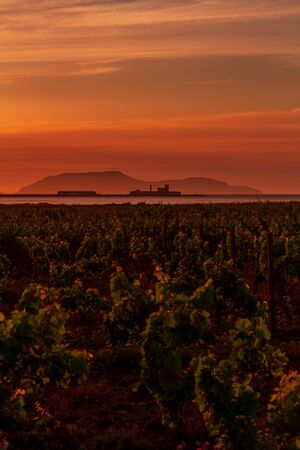 The background island is Favignana, one of the Egadi islands and the island in the middle is Isola Grande, one of the islands of the Stagnoneの写真素材