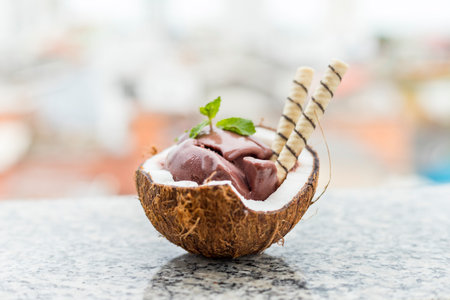 Brazilian AÃ§ai on a coconut shell with a city background.の写真素材