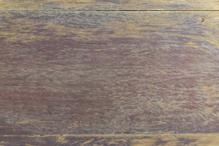 tree wooden texture backdrop background.
