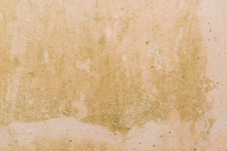 wall with green slime texture damp background.の写真素材