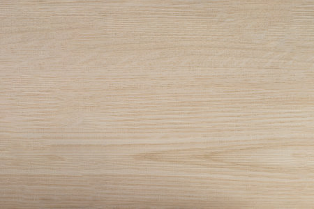 Light Wood Surface Texture Backdrop grunge.の写真素材