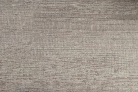 Light Wood Surface Texture Backdrop grunge.の写真素材