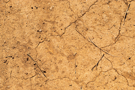 cracked earth floor