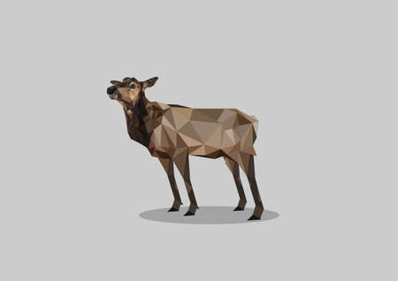 polygonal art Renaの写真素材