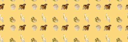 Sea shells banner on yellow background, flat lay, poster, signboard, print pattern.の写真素材