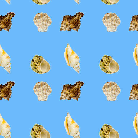 Seamless pattern from sea shells on a blue background. flat lay poster, signboard, banner, print.の写真素材