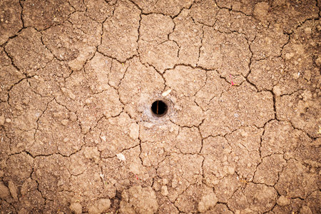 Tarantula.Dwelling of a spider. A hole of an earthen spider. An artificially made by an insect a depression in the ground.の写真素材